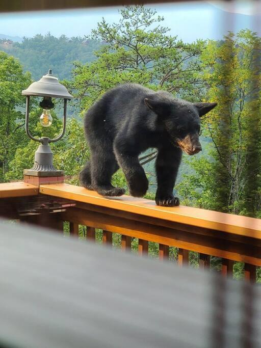 Villa Yogi'S Den: Breathtaking Views! 3 Min To Dollywood, On 1 Acre! Sevierville Exterior foto